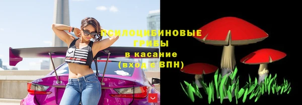 ПСИЛОЦИБИНОВЫЕ ГРИБЫ Алексин