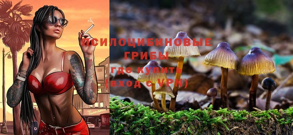 ПСИЛОЦИБИНОВЫЕ ГРИБЫ Алексин