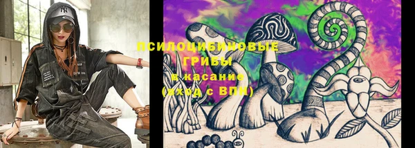 спайс Алексеевка